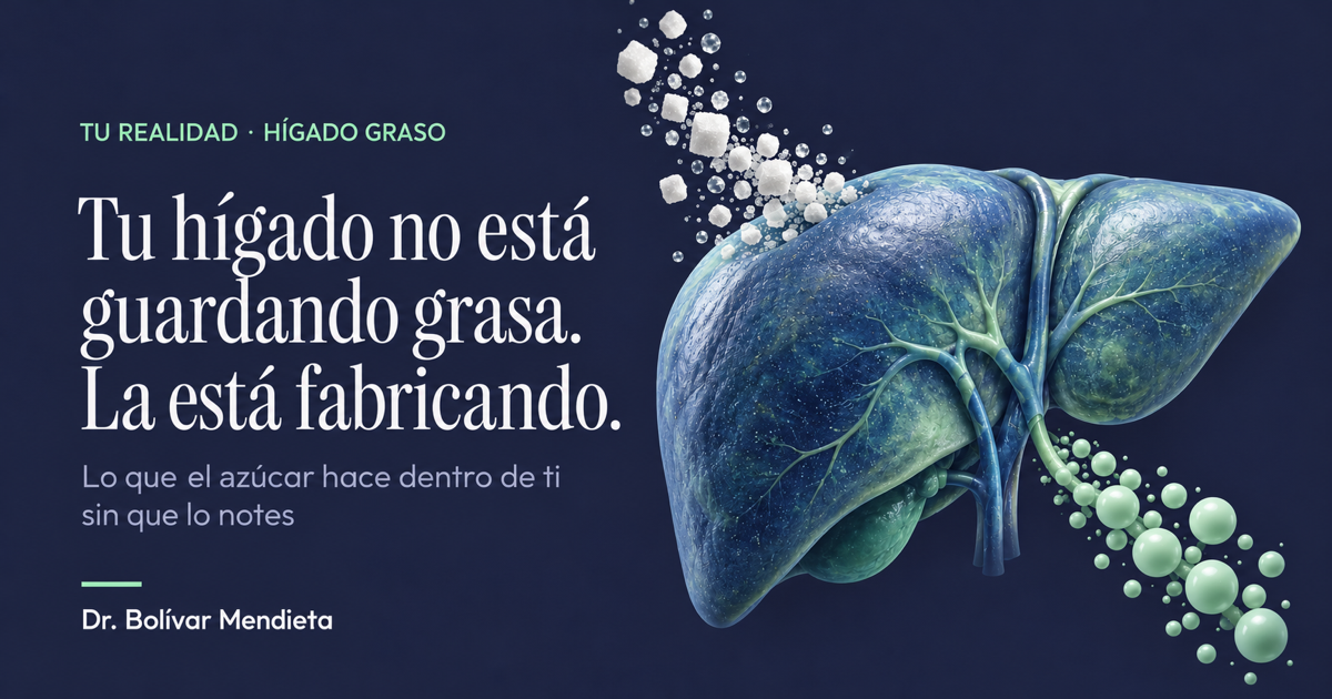 Portada del artículo: Tu hígado no está guardando grasa. La está fabricando.
