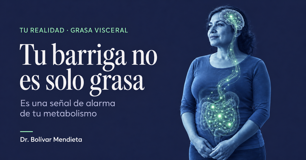 Portada del artículo: Tu barriga no es solo grasa