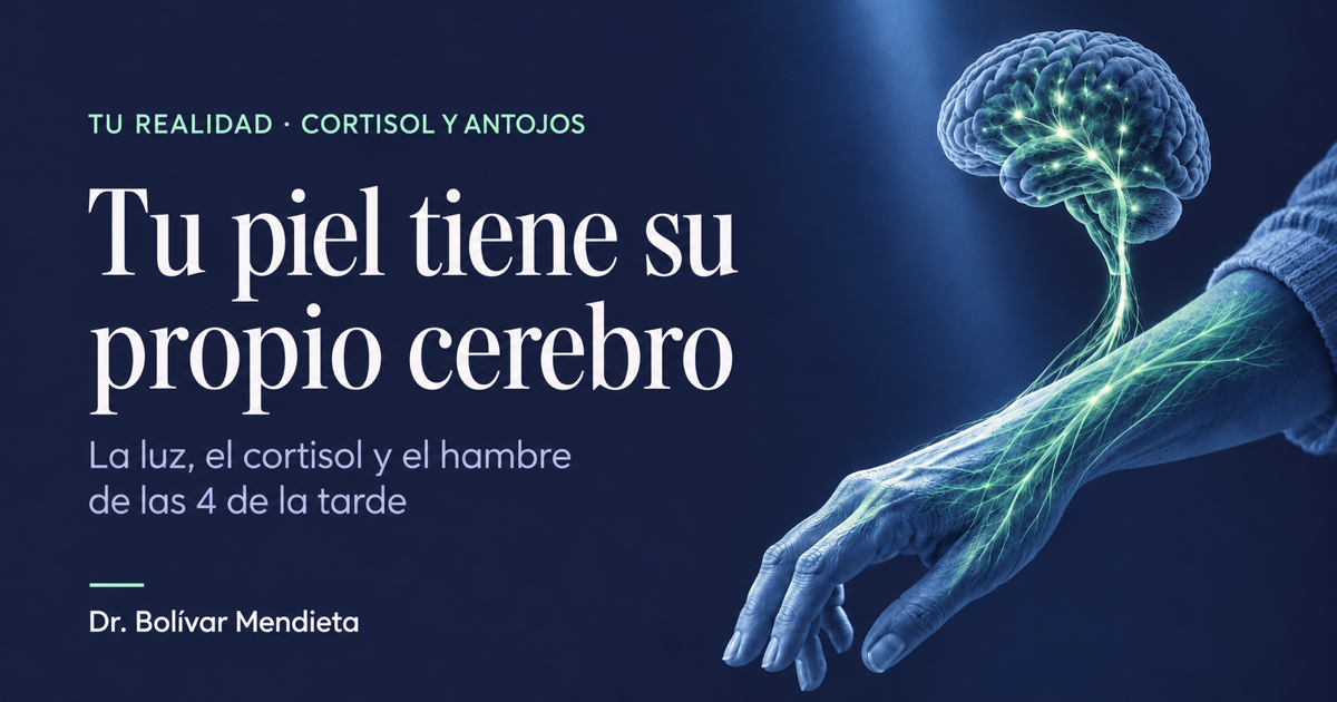 Portada del artículo: Tu piel tiene su propio cerebro